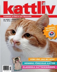 Kattliv Kattliv