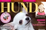 Härliga Hund Härliga Hund