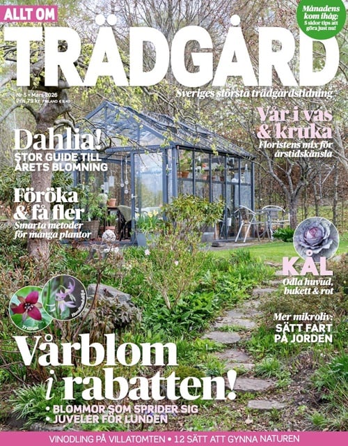 Allt om Trädgård